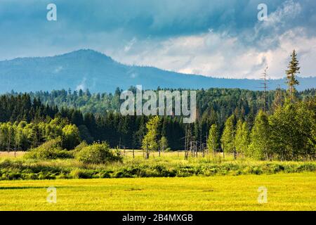 Allemagne, Bavière, Parc national de la forêt bavaroise, vue sur la prairie humide et la moor à la Grande Rachel, nuages dramatiques Banque D'Images