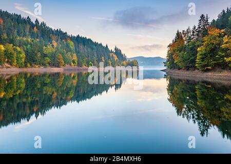 Allemagne, Thuringe, Parc naturel des Monts Slate de Thuringe, Haute-Saale, automne au réservoir Hohenwarte, forêt colorée réfléchie, humeur du matin Banque D'Images