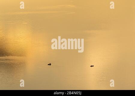 Bateau de pêche en lumière dorée depuis le coucher du soleil avec nuage, dans le Walchensee dans les Préalps bavarois. Photographié d'en haut. Banque D'Images