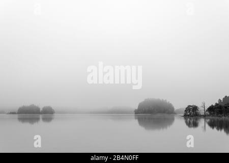 Ambiance d'automne à Fohnsee, le grand lac de Pâques. Sur la rive droite un seul arbre mort dans la forêt et à travers le brouillard vous pouvez voir les îles. Banque D'Images