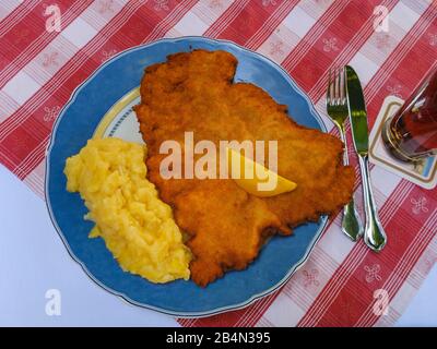 Wiener Schnitzel avec salade de pommes de terre, Kreuzschänke, Regensburg, Haut-Palatinat, Bavière, Allemagne Banque D'Images