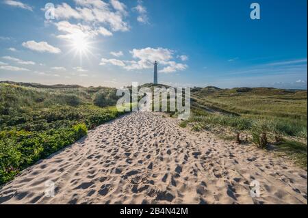 Phare dans un paysage de dunes avec sentier pédestre en été, Lyngvig Fyr, Hvide Sande, Ringkobing Fjord, Mer du Nord, Midtjylland, Central Jutland, Danemark Banque D'Images