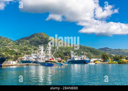 Fischrisschiffe Im Hafen Von Victoria, Insel Mahe, Seychelles, Indischer Ozean, Afrika Banque D'Images