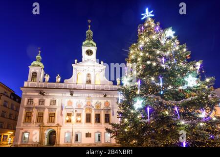 Ceske Budejovice (Budweis), Place Principale, Hôtel De Ville, Arbre De Noël À Jihocesky, Bohême Du Sud, Tchèque Banque D'Images