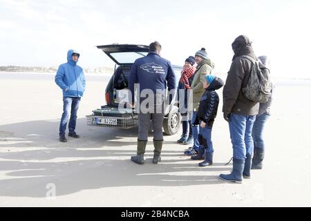 Saint-Pierre Ording, Allemagne. 01 mars 2020. Le chasseur de phoques Toni Thurm se trouve sur la plage avec des marcheurs. Malgré son nom, le chasseur de phoques ne chasse pas les phoques mais les prend en compte. Il est formé pour aider les phoques malades et blessés et les phoques gris. Crédit: Wolfgang Runge/Dpa/Alay Live News Banque D'Images