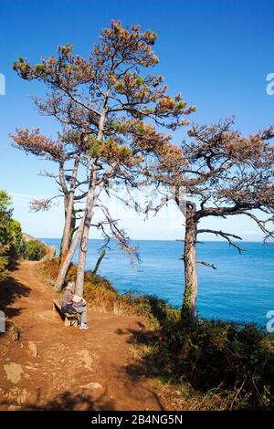 Vue sur la mer de la baie de Mont-Saint-Michel sur le chemin panoramique Cancale jusqu'à la Pointe du Grouin. Département d'Ille-et-Vilaine. En Bretagne Banque D'Images