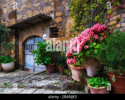 Sorano, Toscane, Italie, ruelle de la vieille ville avec arrangements floraux en face d'une entrée Banque D'Images