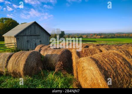 Balle de foin à la ferme, Georgetown, Ontario, Canada. Banque D'Images