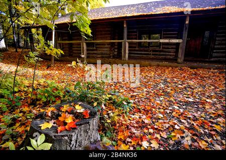 Extérieur de l'ancienne maison en bois, King City, Ontario, Canada. Banque D'Images