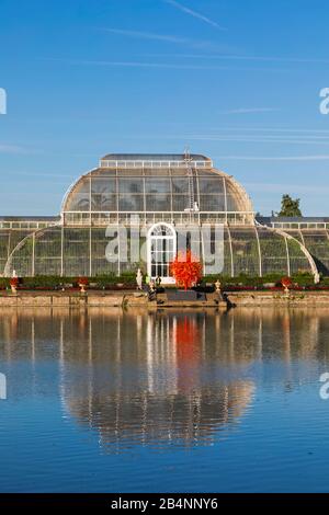 L'Angleterre, Londres, Richmond, Kew Gardens, le Palm House reflétée dans le lac Banque D'Images