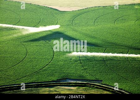 Vue aérienne de deux arroseurs d'irrigation agricole à pivot central utilisés pour irriguer un champ de pomme de terre de l'Idaho. Banque D'Images