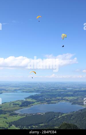 Trois parapentes au-dessus des Forggen et Bannwaldsee Banque D'Images