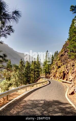 Barranco De Agaete, Grande Canarie, Espagne Banque D'Images