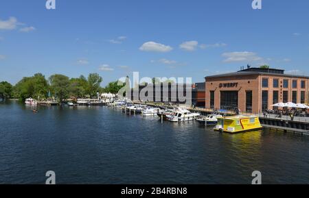 Schiffsanleger, Havel, Wiemannwerft, Brandenburg an der Havel, Brandebourg, Allemagne Banque D'Images