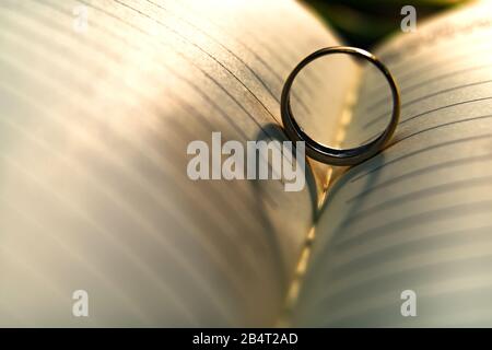 Arrière-plan abstrait de l'ombre coeur de l'anneau de mariage coulage sur la page de livre Banque D'Images