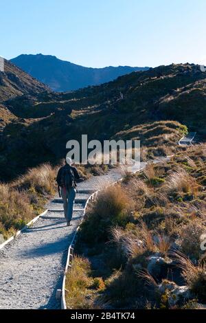 Les randonneurs débutent la randonnée de 19 km de Tongariro Alpine Crossing, Nouvelle-Zélande. Tôt le matin. Banque D'Images