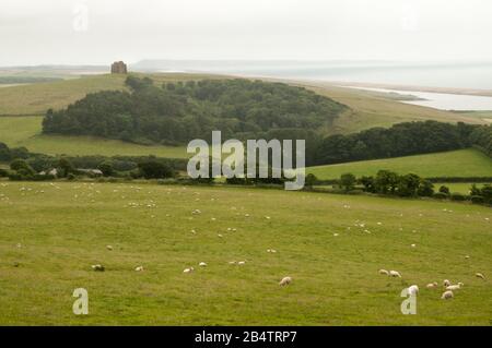 Vue sur la chapelle Sainte-Catherine à Abbotsbury et la plage de Chesil sur la côte du patrimoine de West Dorset, Dorset, Angleterre, le jour de l'été. Banque D'Images