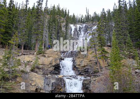 Chutes De Temben Creek Dans Le Parc National Jasper, Alberta, Canada Banque D'Images