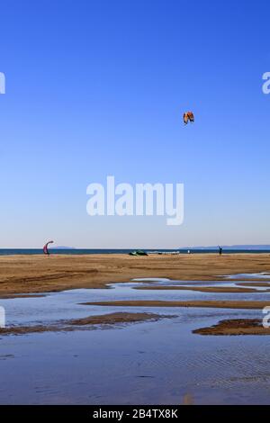 Pratique de Kite-Surf sur la plage d'Espiguette, Occitanie France Banque D'Images