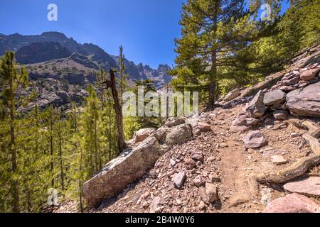 Sentier pédestre dans les gorges de l'Aso avec vue sur la montagne de Cinto en Haute Corse sur l'île Corse, France Banque D'Images