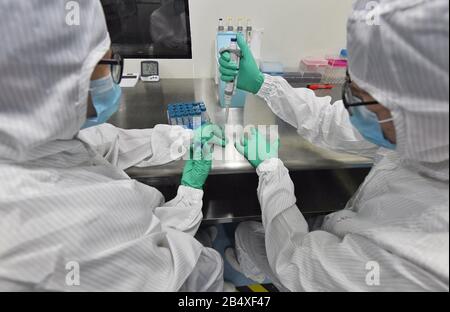 Pékin, Chine. 24 février 2020. Le personnel traite la puce de test des acides nucléiques à l'usine d'une société de biotechnologie basée à Chengdu dans la province du Sichuan, dans le sud-ouest de la Chine, 24 février 2020. Crédit: Liu Kun/Xinhua/Alay Live News Banque D'Images