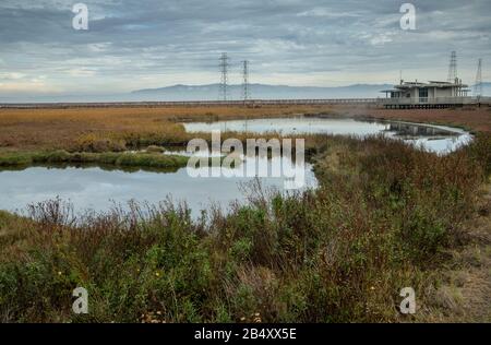 Saltmarsh, lagons et centre d'accueil de Baylands nature Preserve, Palo Alto, Californie. Banque D'Images