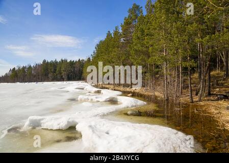 Journée ensoleillée d'avril sur la rive du lac de Ladoga . Région De Leningrad, Russie Banque D'Images