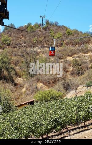 Voitures à câble rouge, colline, vignoble; transport, vignoble, Vina Santa Cruz; Amérique du Sud; Colchagua Valley, Chili; été Banque D'Images