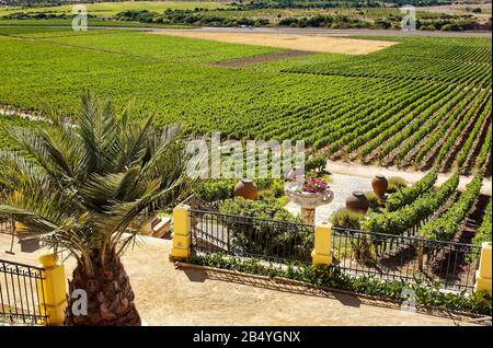 Vignes du porche de la cave; entrée, marches, champs, cultures, Vina Santa Cruz; scène rurale, Amérique du Sud; vallée de Colchagua, Chili; été Banque D'Images