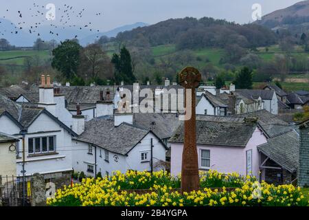 Un troupeau de jackdaws survolant le village de Hawkshead, Lake District, Cumbria, Royaume-Uni, vu des terrains de St Michaels et de toute l'église des Anges. Banque D'Images