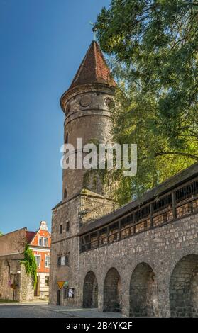 Lubanska Baszta Luban (Tower), 13e siècle, dans la région de Lwowek Slaski, Basse Silésie, Pologne Banque D'Images