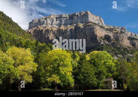 Falaises de calcaire et bois de pin et de hêtre montagnard dans le parc national Ordesa y Monte Perdido, Pyrénées espagnoles. Banque D'Images