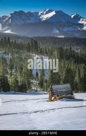 Magnifique cottage en bois dans la montagne Tatra en hiver Banque D'Images