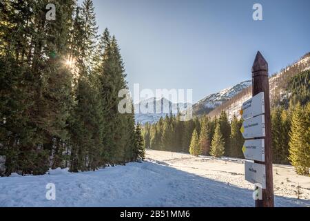 Signpost dans la vallée de Kościeliska près du refuge de montagne Ornak en hiver Banque D'Images