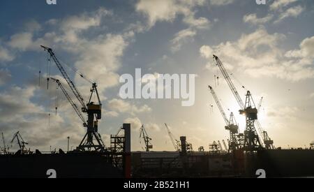 les grues du port de hambourg ressemblent à des girafes, en allemagne Banque D'Images