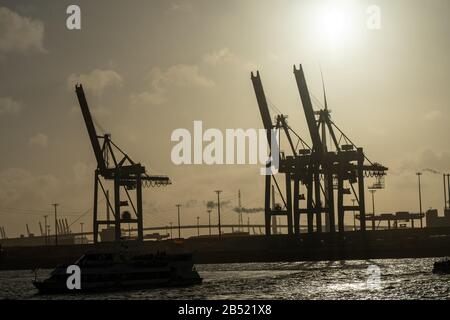 les grues du port de hambourg ressemblent à des girafes, en allemagne Banque D'Images