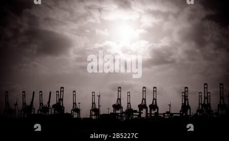 les grues du port de hambourg ressemblent à des girafes, en allemagne Banque D'Images