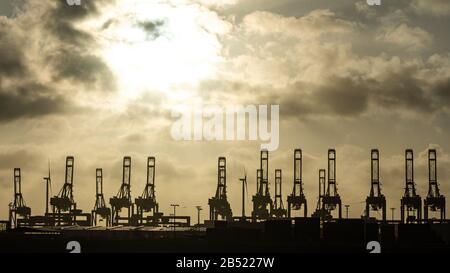 les grues du port de hambourg ressemblent à des girafes, en allemagne Banque D'Images