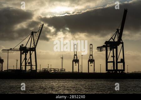 les grues du port de hambourg ressemblent à des girafes, en allemagne Banque D'Images