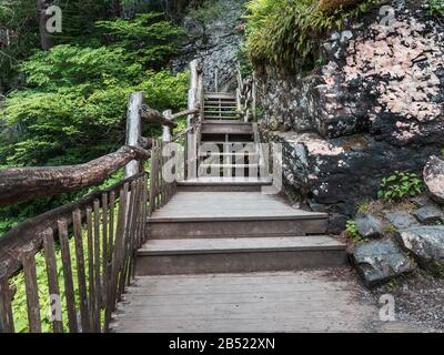 Escalier en bois et rampe aux chutes Bushkill dans les montagnes Pocono de l'est de la Pennsylvanie Banque D'Images