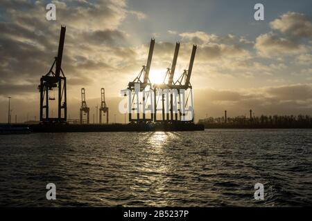 les grues du port de hambourg ressemblent à des girafes, en allemagne Banque D'Images