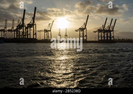 les grues du port de hambourg ressemblent à des girafes, en allemagne Banque D'Images