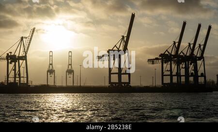 les grues du port de hambourg ressemblent à des girafes, en allemagne Banque D'Images