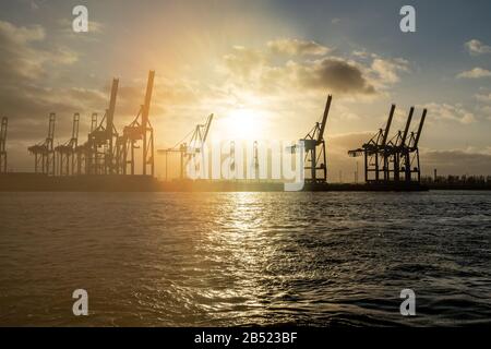 les grues du port de hambourg ressemblent à des girafes, en allemagne Banque D'Images