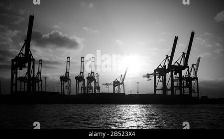 les grues du port de hambourg ressemblent à des girafes, en allemagne Banque D'Images