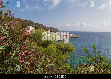 Île De Levanzo. Mer Méditerranée. Banque D'Images