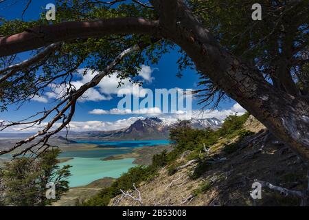 Lago Belgrano et les Andes de Cerro Leon, un point de vue à couper le souffle dans le Parque Nacional Perito Moreno, Patagonia Argentine Banque D'Images