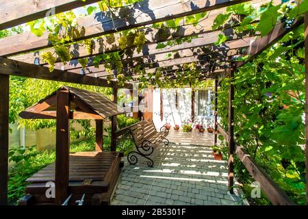 La cour arrière de la maison avec un auvent en bois fait de poutres - pergola. Les raisins poussent sur les barres et créent une ombre. Des grappes de raisins sont visibles Banque D'Images