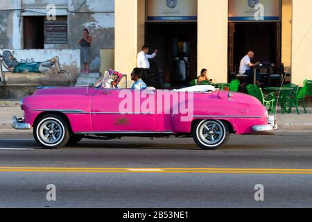 Chevrolet voiture rose classique sans les touristes passant devant un restaurant à Malecon Promenade. Véhicule vintage aux couleurs éclatantes à la Havane, Cuba. Banque D'Images