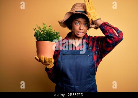 Jeune paysan afro-américain avec des cheveux bouclés portant un tablier tenant pot avec des plantes stressées avec la main sur la tête, choqué avec la honte et la surprise Banque D'Images